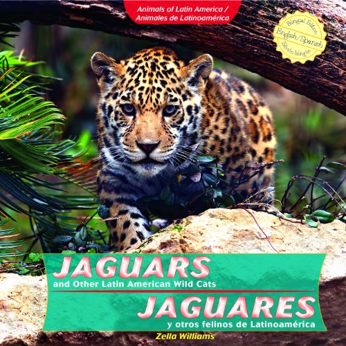 Jaguars and Other Latin American Wild Cats =: Jaguares y Otros Felinos de Latinoamerica by Zella Williams