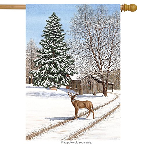 Algopix Similar Product 10 - The Old Place Winter House Flag Snowy