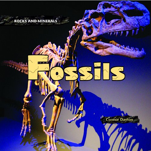 Fossils (Rocks and Minerals) by Connor Dayton