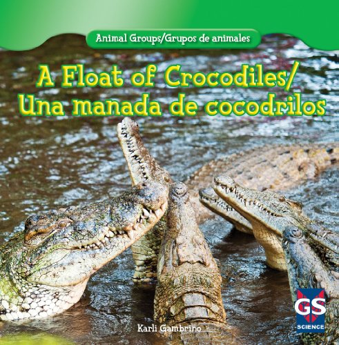 A float of crocodiles = Una manada de crocodrilos by Karlie Gambino