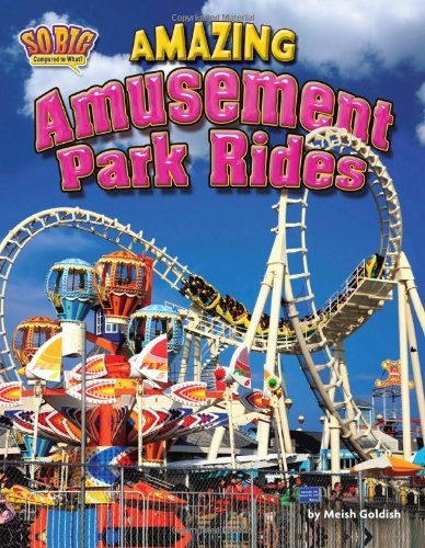 Amazing Amusement Park Rides by Meish Goldish