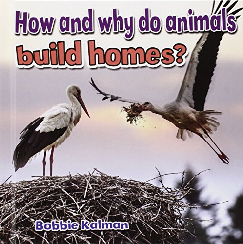 How and Why Do Animals Build Homes? by Bobbie Kalman