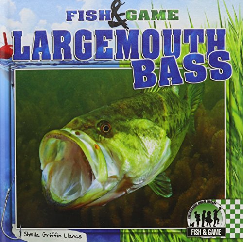 Largemouth Bass by Sheila Griffin Llanas