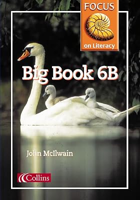 Focus on Literacy (39) – Big Book 6B