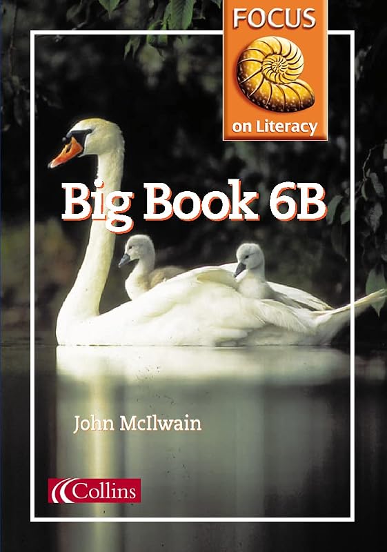 Focus on Literacy (39) – Big Book 6B by John McIlwain
