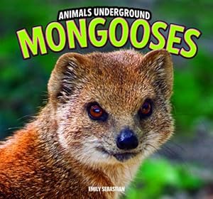 Mongooses by Emily Sebastian
