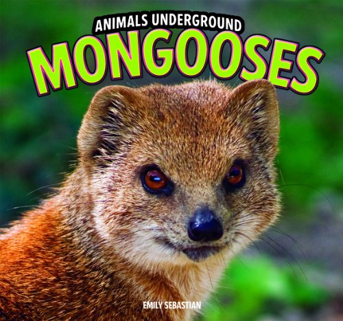 Mongooses by Emily Sebastian