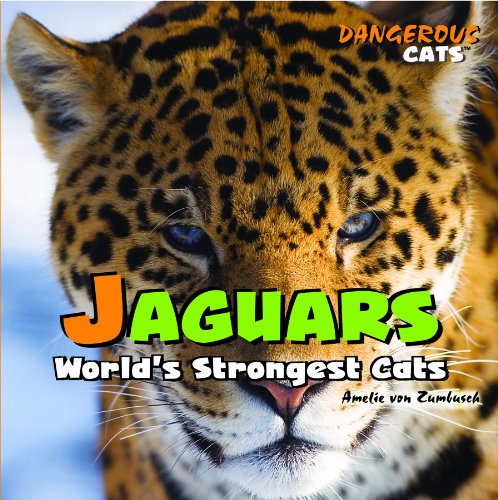Jaguars: World's Strongest Cats (Dangerous Cats) by Amelie Von Zumbusch