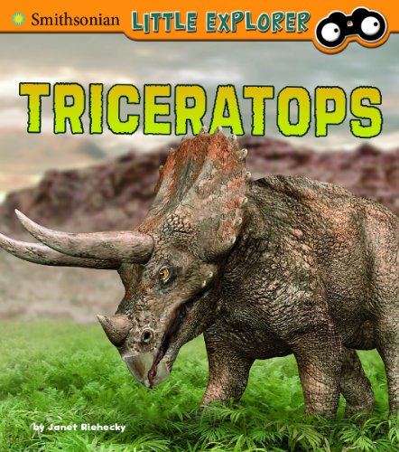 Triceratops by Janet Riehecky