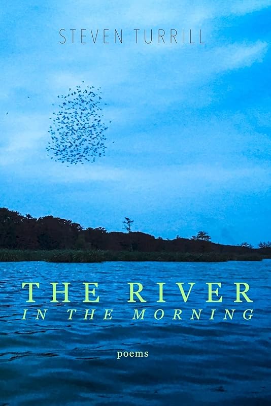 The River in the Morning by Steven Turrill