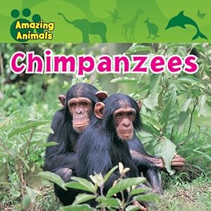 Chimpanzees