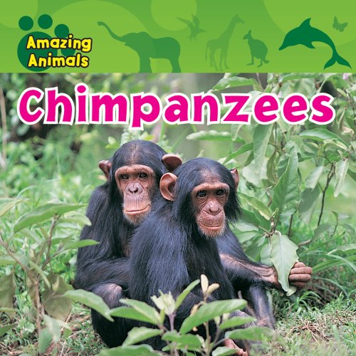 Chimpanzees by Sarah Albee