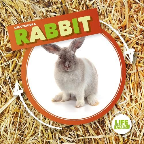 Rabbit by Kirsty Holmes