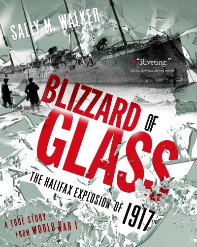 Blizzard of Glass: The Halifax Explosion of 1917 by Sally M Walker