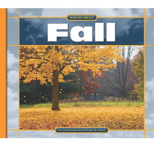 Fall by Cynthia Amoroso