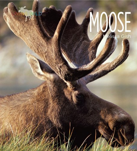 Moose by Melissa Gish