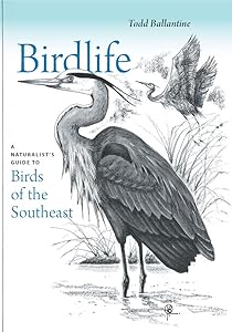 Birdlife: A Naturalist's Guide to Birds of the Southeast by Todd Ballantine