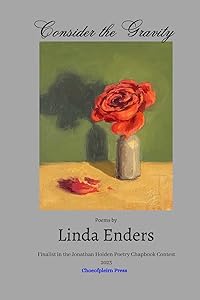 Consider the Gravity by Linda Enders