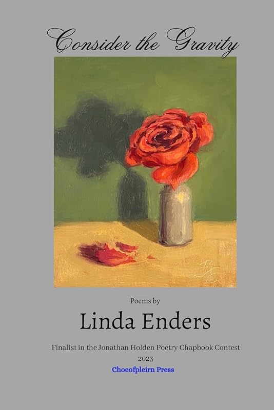 Consider the Gravity by Linda Enders