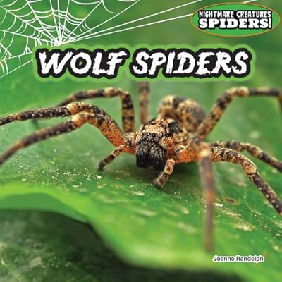 Wolf Spiders