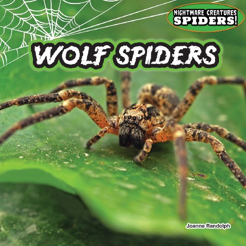 Wolf Spiders by Joanne Randolph