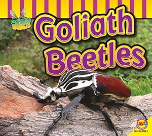 Goliath Beetle