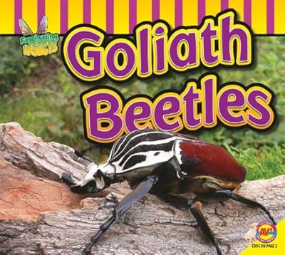 Goliath Beetle