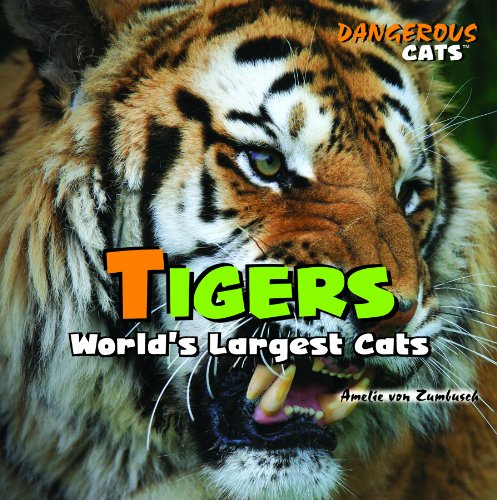 Tigers: World's Largest Cats (Dangerous Cats) by Amelie Von Zumbusch