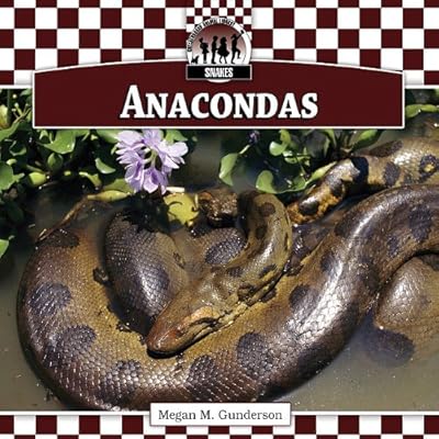 Anacondas