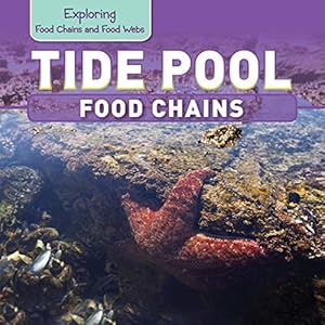 Tide Pool Food Chains
