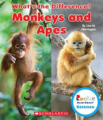 Monkeys and Apes