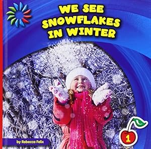 We See Snowflakes in Winter
