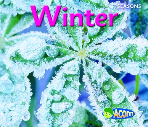 Winter (Seasons (Acorn)) by Sian Smith