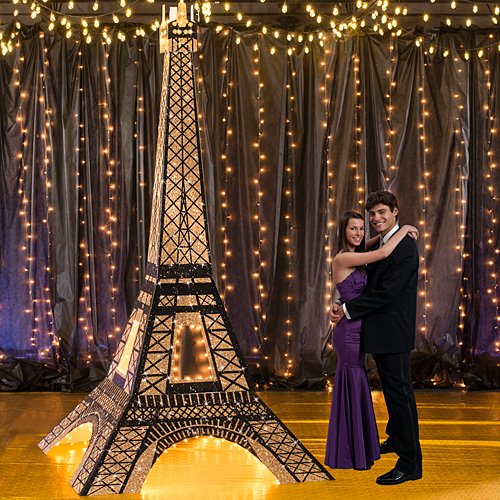Algopix Similar Product 19 - 11 ft 7 in Tres Chic 3D Paris France