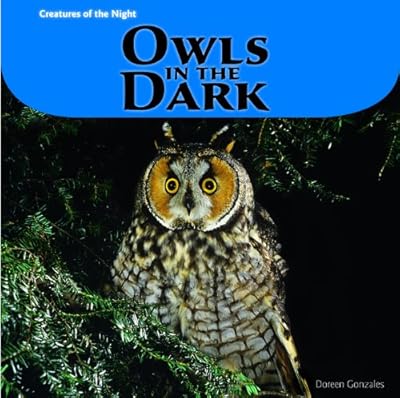 Owls in the dark