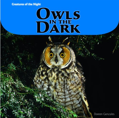 Owls in the dark by Doreen Gonzales