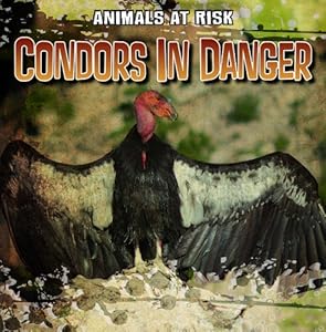 Condors in danger by N  D Harasymiw