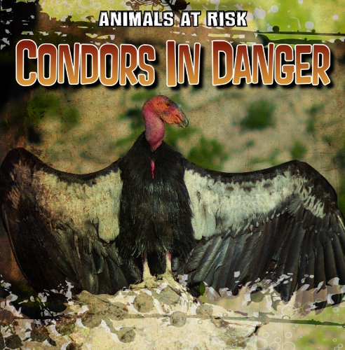 Condors in danger by N  D Harasymiw