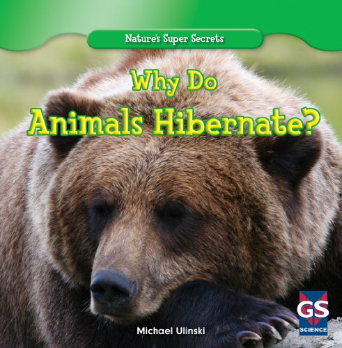 Why Do Animals Hibernate? by Michael Ulinski