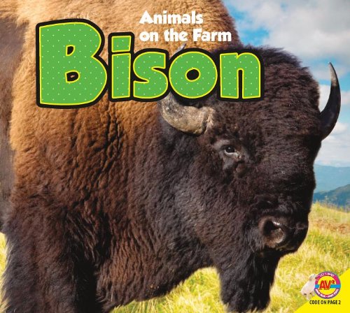 Bison by Aaron Carr