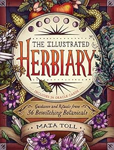 The Illustrated Herbiary: Guidance and Rituals from 36 Bewitching Botanicals