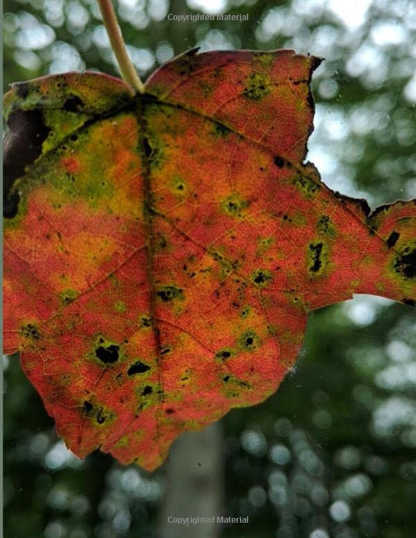Dangling Autumn Leaf Journal by Dean Krosecz