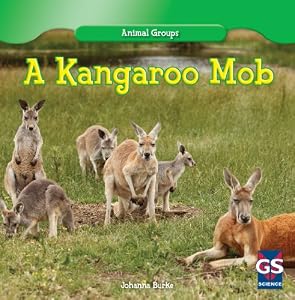 A Kangaroo Mob
