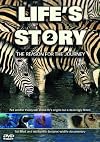 Life's Story 2: The Reason for the Journey
