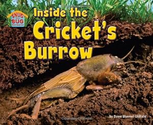 Inside the Cricket's Burrow