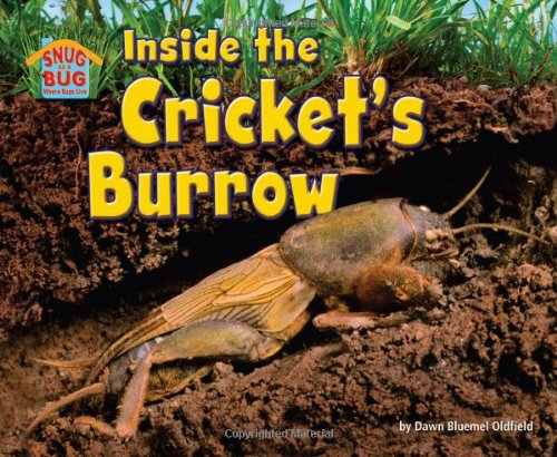 Inside the Cricket's Burrow by Dawn Bluemel Oldfield