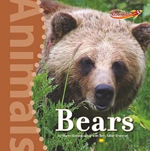 Bears