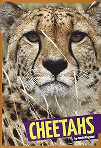 Cheetahs