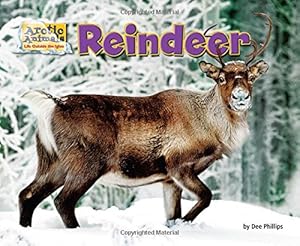 Reindeer