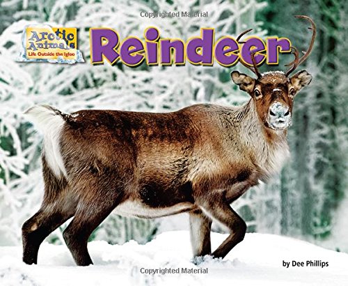 Reindeer by Dee Phillips